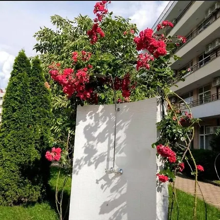 Grand Kamelia Daire